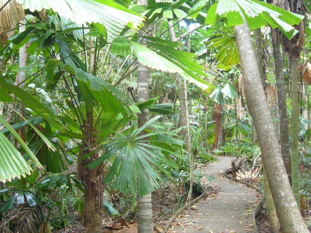 Port Douglas Retreat Екстер'єр фото