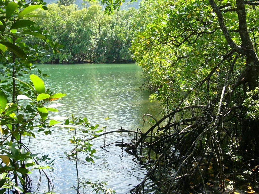 Port Douglas Retreat Екстер'єр фото